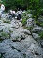 DSC02041